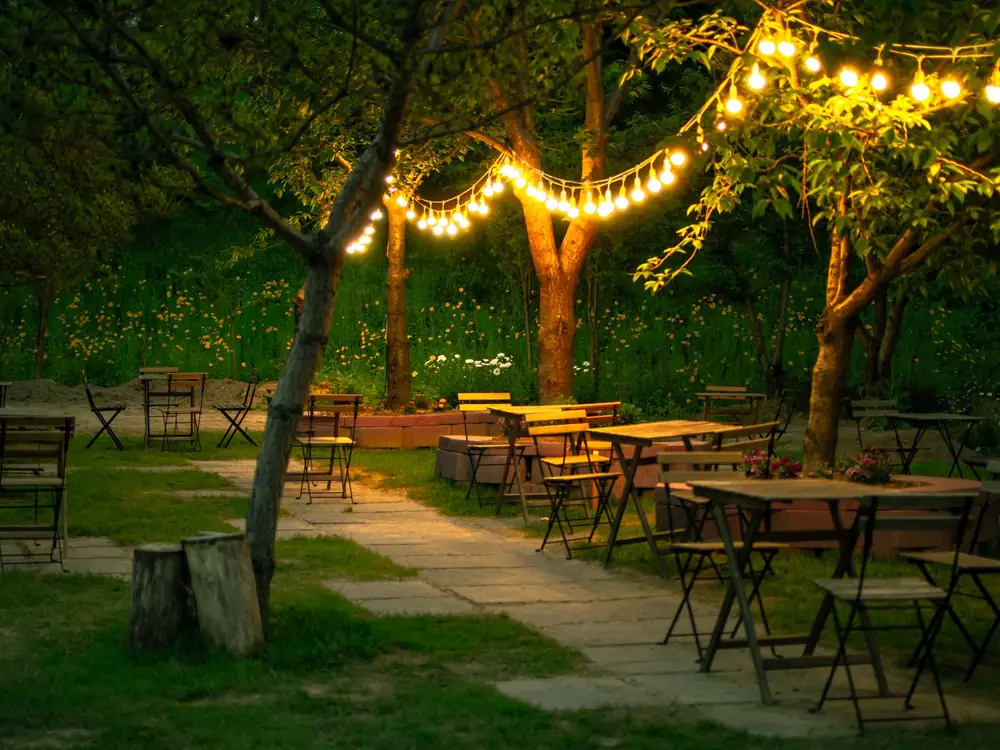 Garden tables under a big tree strung with lights